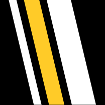 WSS Icon